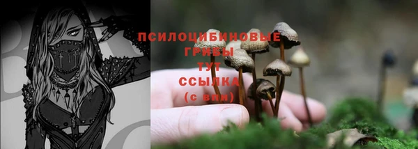ALPHA-PVP Верхний Тагил