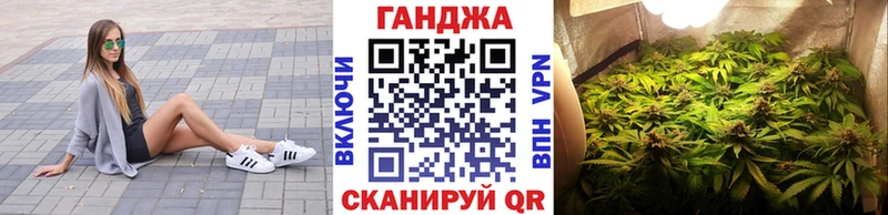 Каннабис сатива  Купить закладки  Стародуб 